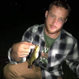 Meet your Posher, Gregory